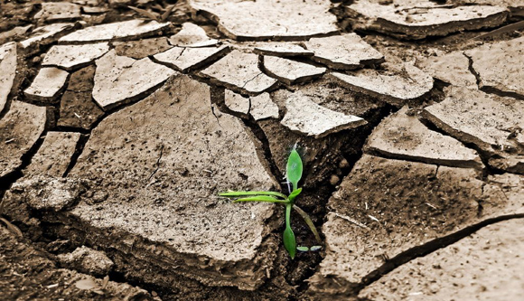 The Global Climate Disaster Links Between Africa and New Orleans The Global Climate Disaster Links Between Africa and New Orleans